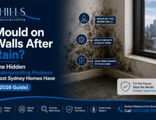 Mould on Walls After Rain? The Hidden Waterproofing Problem Most Sydney Homes Have (2026 Guide)